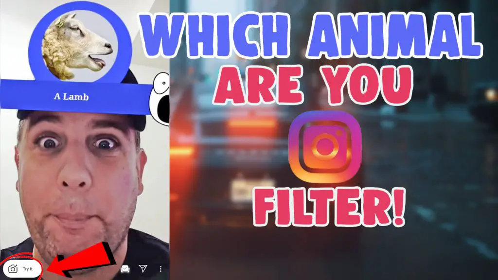 which animal are you instagram filter