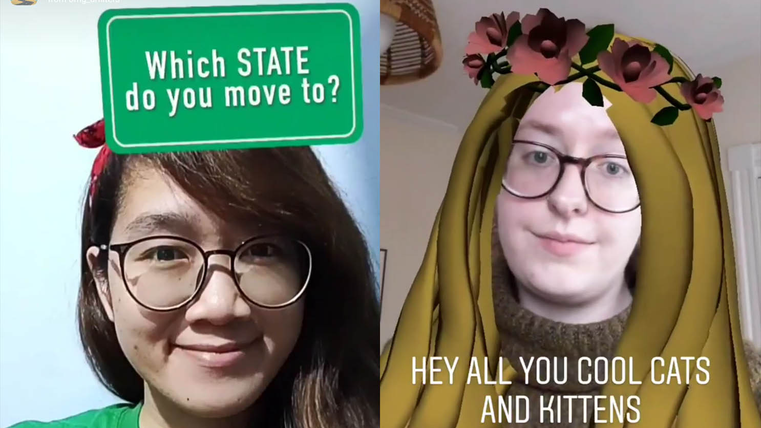 How To Get Carole Baskin Snapchat Filter and Move To Which State Instagram Filter