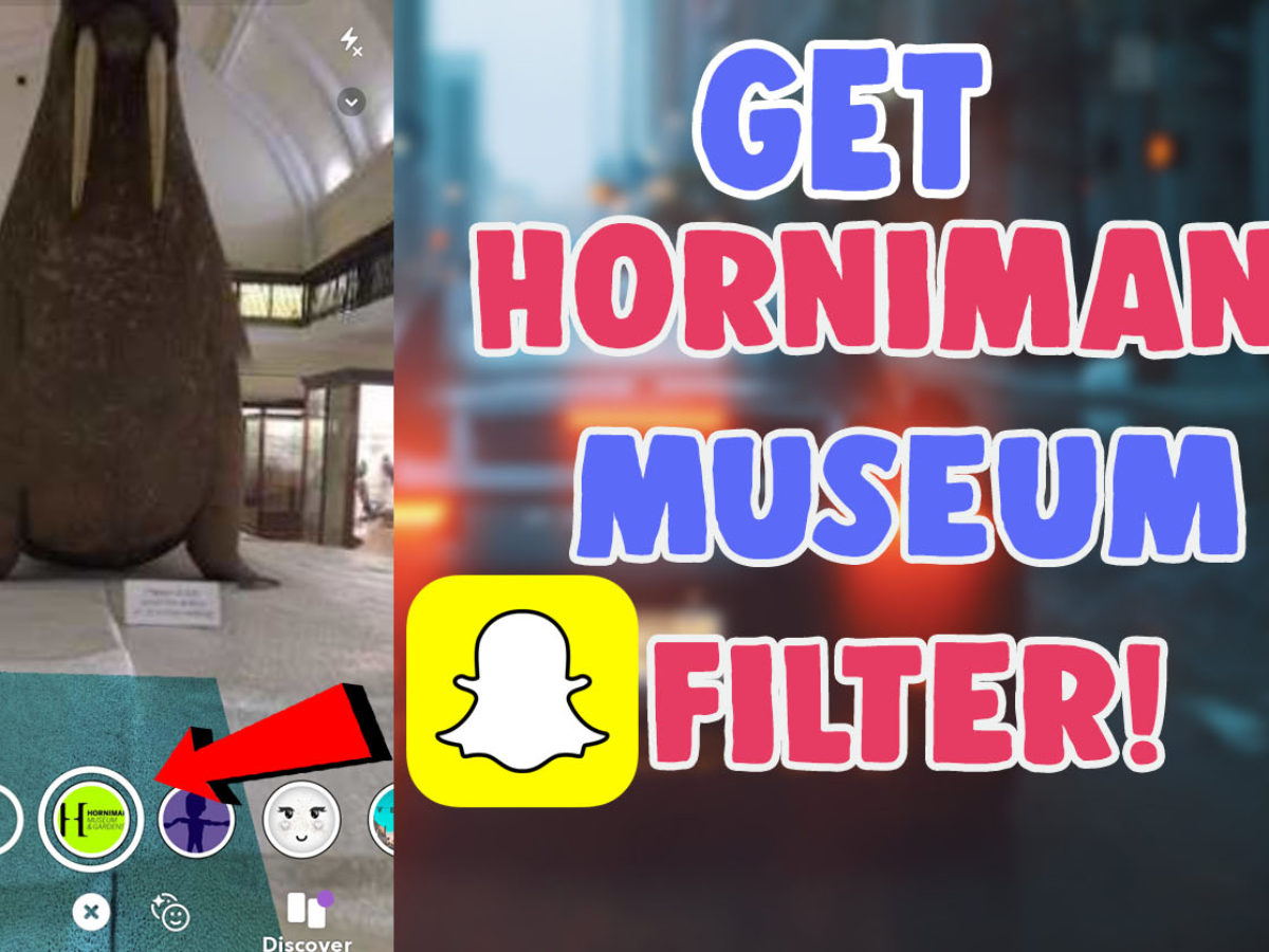 How To Get Horniman Museum Filter And Pinoy Quiz Instagram Filter Snapchat And Tiktok Salu Network