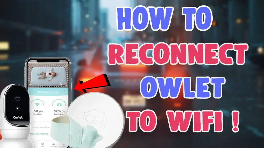 how to reconnect owlet to wifi