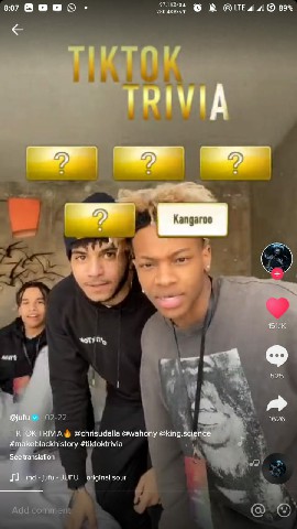 tiktok trivia game filter instagram