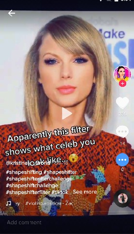 celebrity look a like shape shifting filter titkok