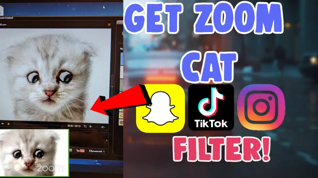 use zoom cat filter instagram tiktok snapchat