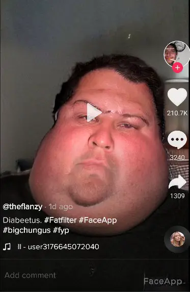 fat filter tiktok instagram snapchat