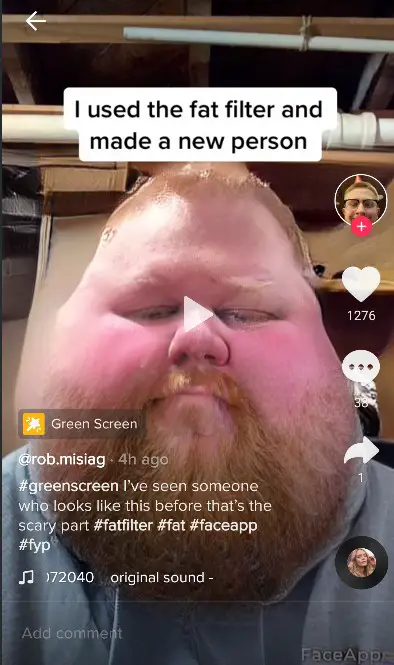 fat filter tiktok