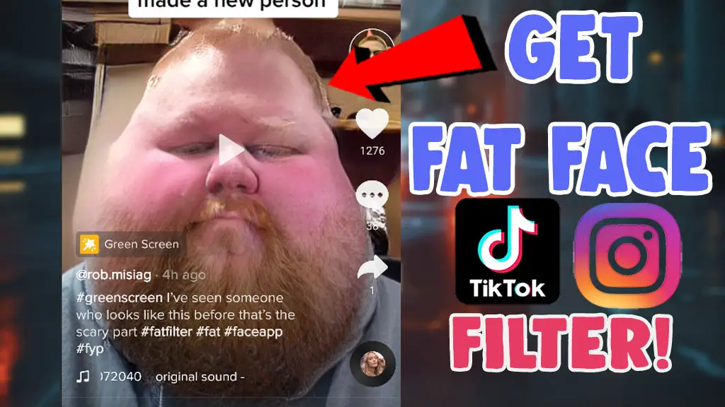 fat chubby face filter tiktok instagram