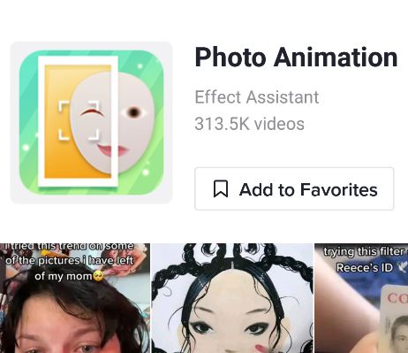photo animation filter tiktok icon