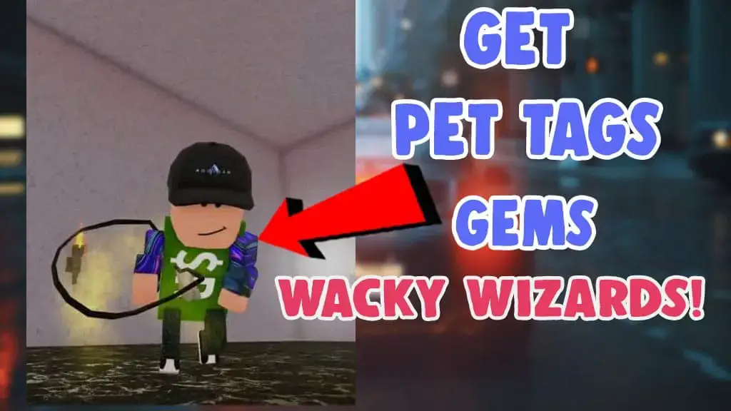 How To Get New Item Pet Tags And Gems In Wacky Wizards Salu Network
