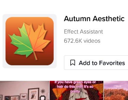 autumn aesthetic filter tiktok icon