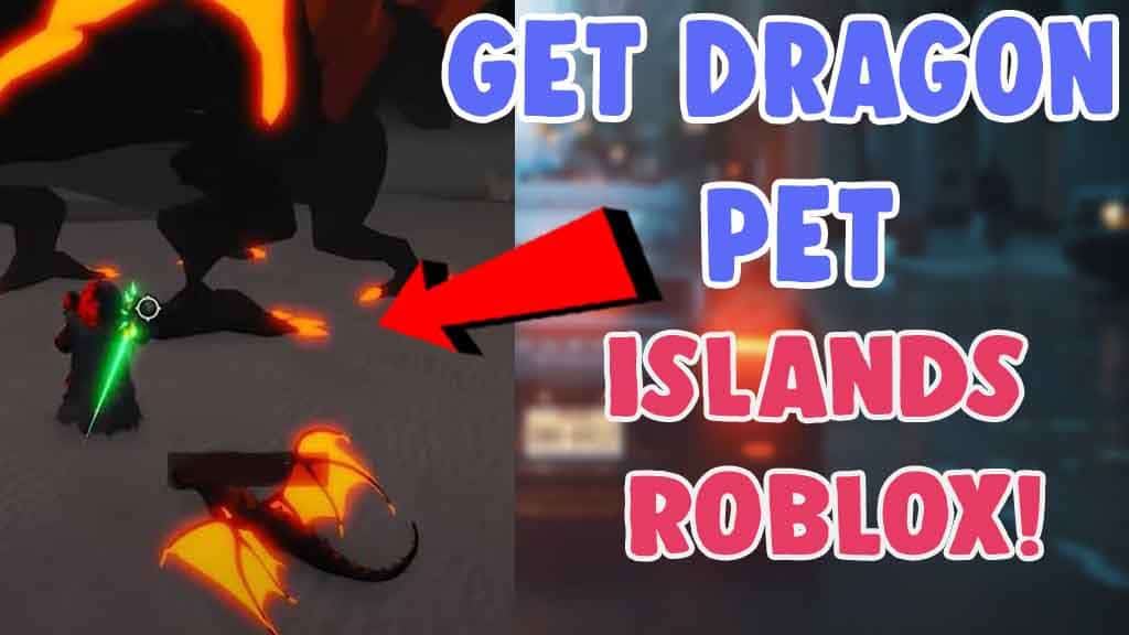 find dragon pet islands