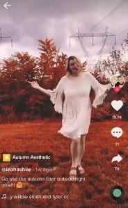 how to get autumn aesthetic filter on tiktok