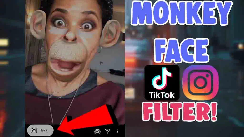 monkey filter instagram