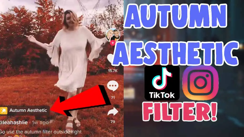 autumn aesthetic filter effect tiktok