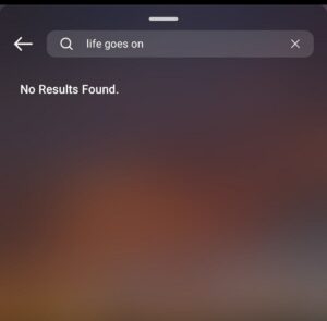 no results found on instagram music story