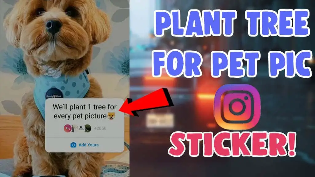 plant 1 tree for one pet picture