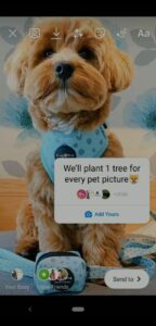 we'll plant 1 tree for every pet picture Instagram story