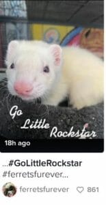 Little rockstar go Little actual