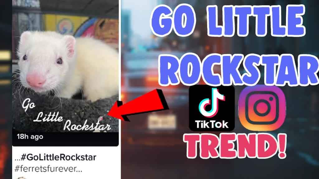 how to make go little rockstar tiktok trend