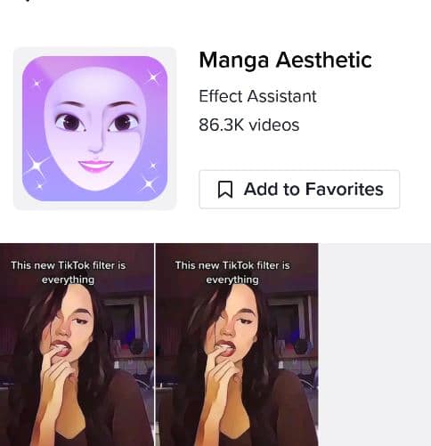 manga aesthetic icon tiktok 