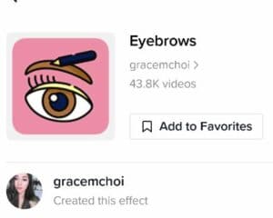 eyebrows tiktok filter