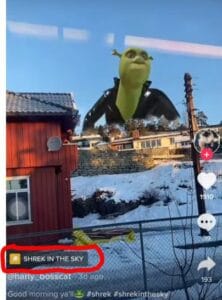 shrek in the sky filter tiktok