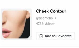 cheek contour filter icon