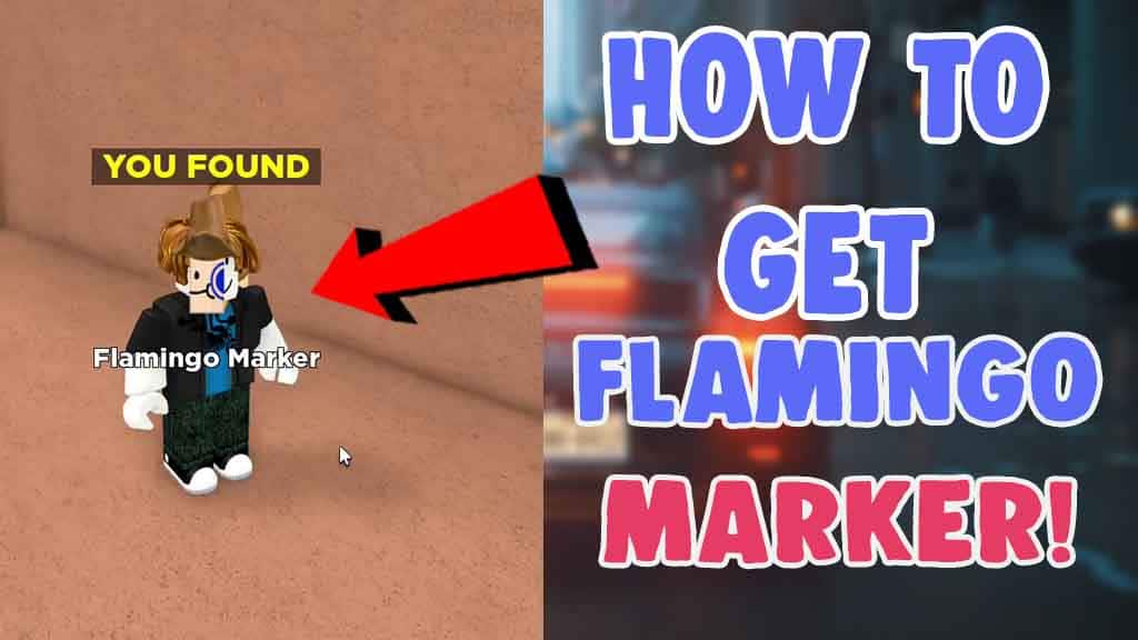 how to find flamingo marker