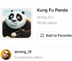 kung fu panda filter tiktok icon