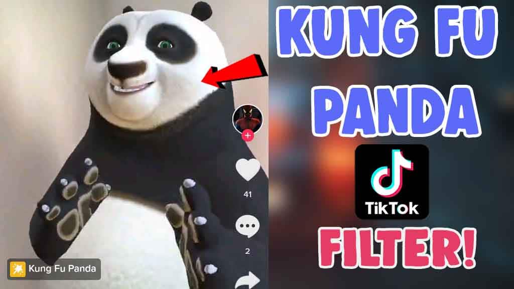 tiktok kung fu panda filter