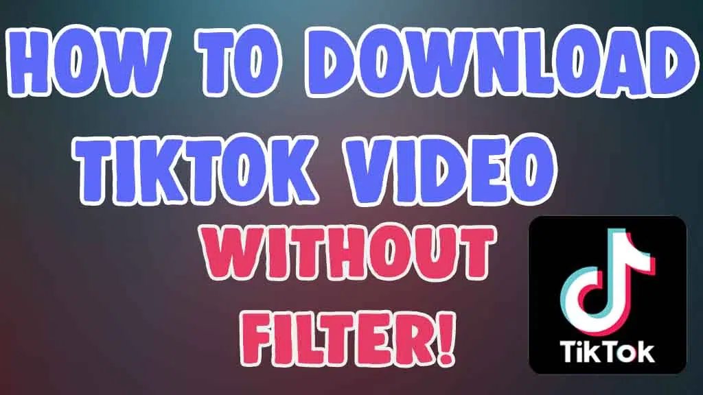 How Can You Download Tiktok Video Without Filter Effects?