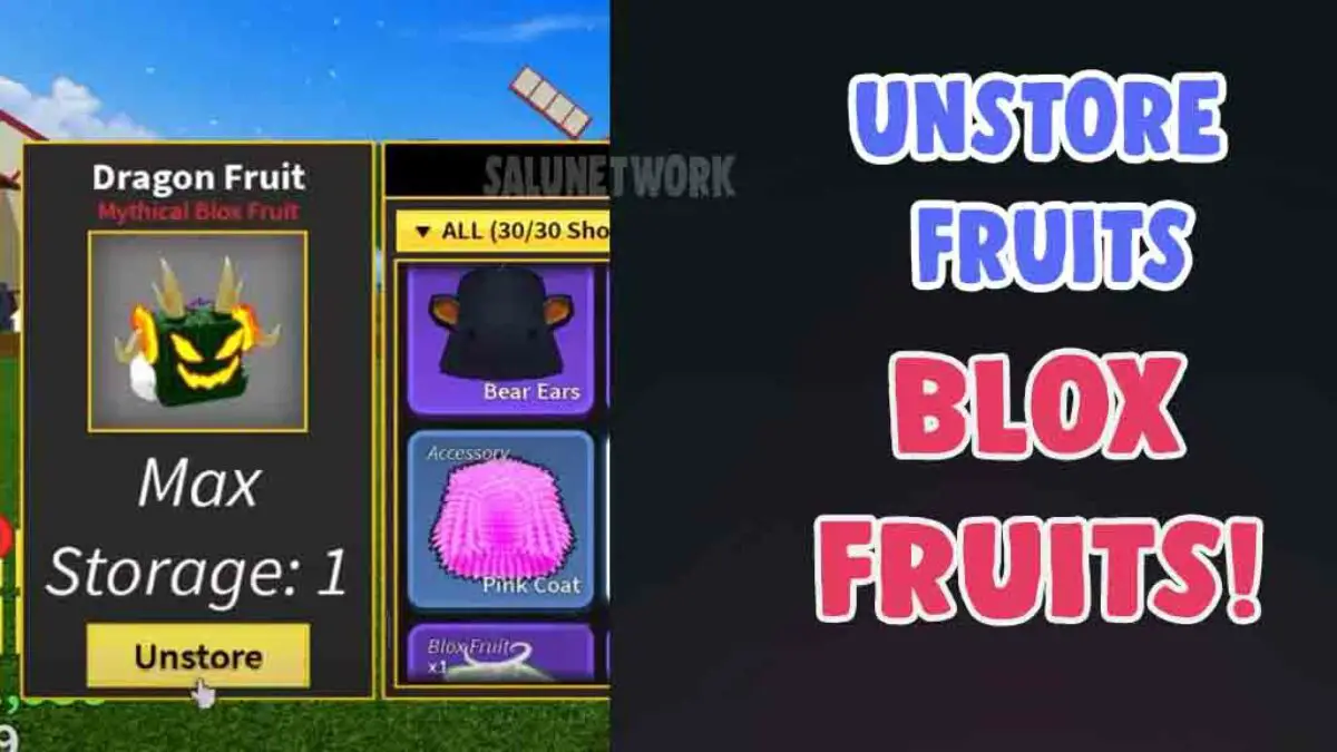 FREE *DRAGON FRUIT* WORKING CODES 2022 in Roblox Blox Fruits Codes