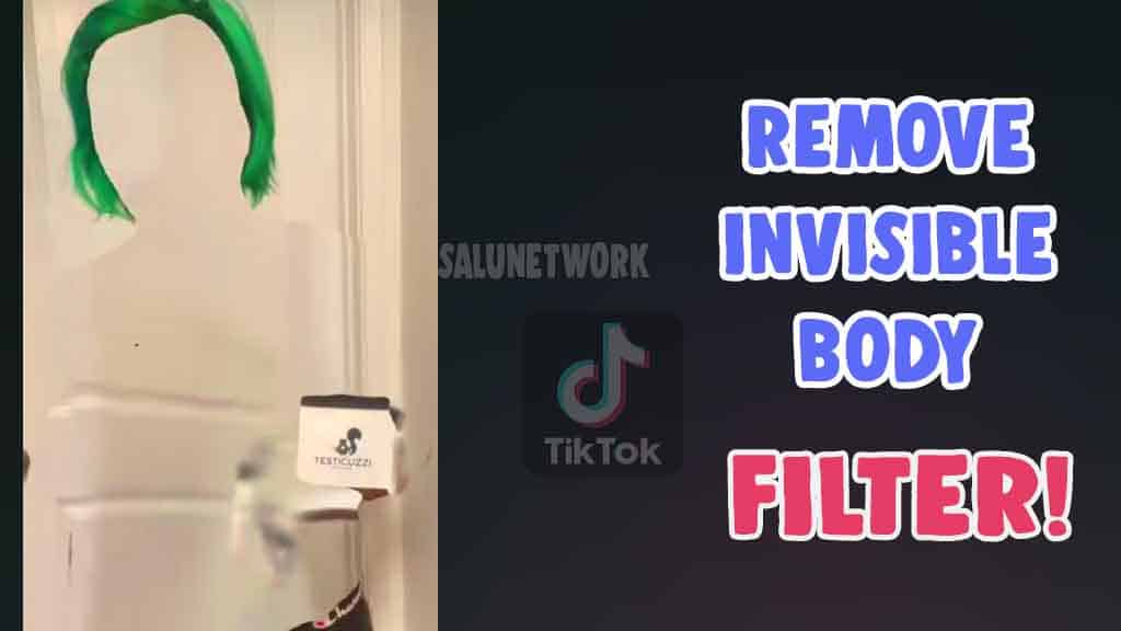 get and remove invisible body filter effect tiktok