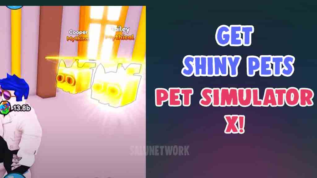 how to get shiny pets in pet simulator x